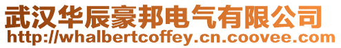 武漢華辰豪邦電氣有限公司