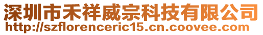 深圳市禾祥威宗科技有限公司