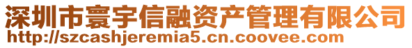 深圳市寰宇信融資產管理有限公司