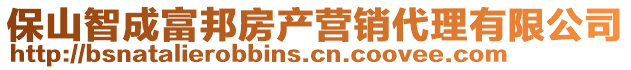 保山智成富邦房產營銷代理有限公司