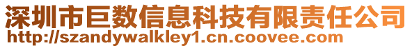 深圳市巨數(shù)信息科技有限責任公司