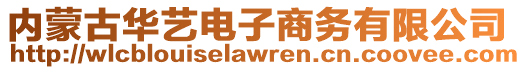 內(nèi)蒙古華藝電子商務(wù)有限公司