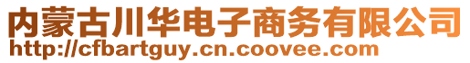 內蒙古川華電子商務有限公司