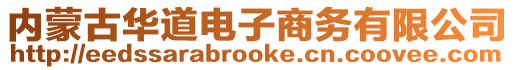 內蒙古華道電子商務有限公司
