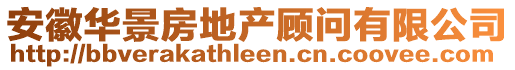 安徽華景房地產顧問有限公司
