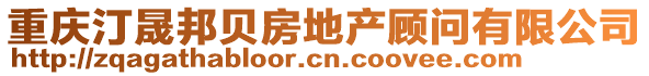 重慶汀晟邦貝房地產顧問有限公司