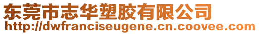 東莞市志華塑膠有限公司