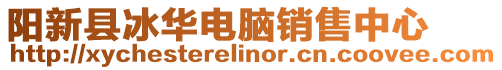 陽新縣冰華電腦銷售中心