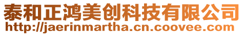 泰和正鴻美創(chuàng)科技有限公司