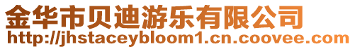 金華市貝迪游樂有限公司