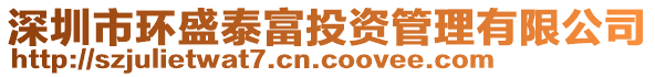 深圳市環(huán)盛泰富投資管理有限公司