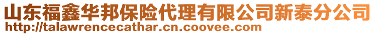 山东福鑫华邦保险代理有限公司新泰分公司