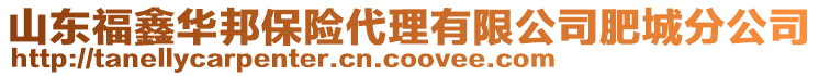 山東福鑫華邦保險代理有限公司肥城分公司