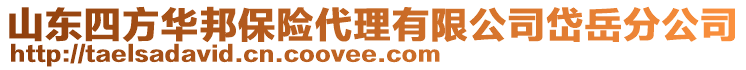 山東四方華邦保險代理有限公司岱岳分公司