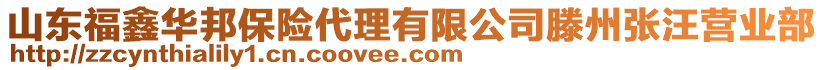 山東福鑫華邦保險(xiǎn)代理有限公司滕州張汪營(yíng)業(yè)部