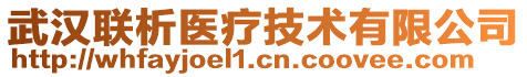 武漢聯(lián)析醫(yī)療技術(shù)有限公司