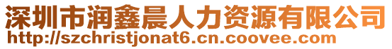 深圳市潤鑫晨人力資源有限公司