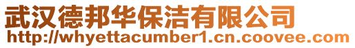 武漢德邦華保潔有限公司