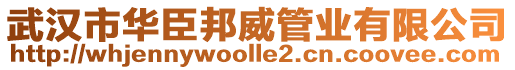 武漢市華臣邦威管業(yè)有限公司