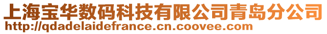 上海宝华数码科技有限公司青岛分公司