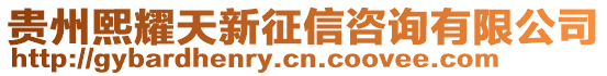 貴州熙耀天新征信咨詢有限公司