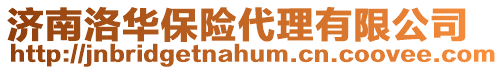 濟(jì)南洛華保險(xiǎn)代理有限公司
