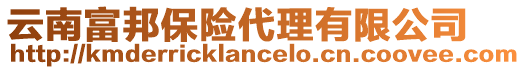 云南富邦保險代理有限公司