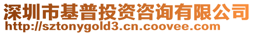 深圳市基普投资咨询有限公司