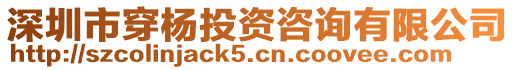 深圳市穿楊投資咨詢有限公司