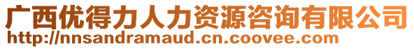 廣西優(yōu)得力人力資源咨詢有限公司