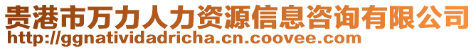 貴港市萬力人力資源信息咨詢有限公司