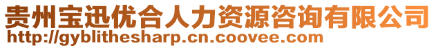 貴州寶迅優(yōu)合人力資源咨詢(xún)有限公司