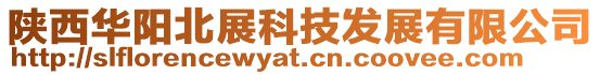 陜西華陽北展科技發展有限公司