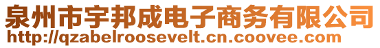 泉州市宇邦成電子商務(wù)有限公司