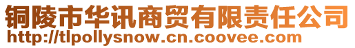 銅陵市華訊商貿(mào)有限責(zé)任公司