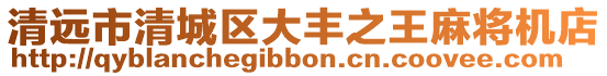 清遠市清城區大豐之王麻將機店
