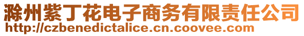 滁州紫丁花電子商務有限責任公司