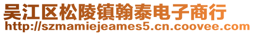 吳江區(qū)松陵鎮(zhèn)翰泰電子商行