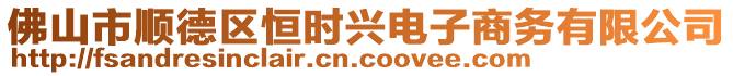 佛山市順德區(qū)恒時興電子商務有限公司