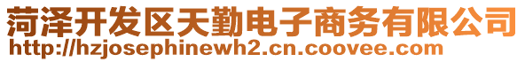 菏澤開發(fā)區(qū)天勤電子商務(wù)有限公司