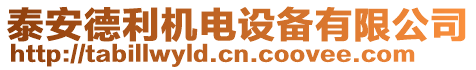 泰安德利機(jī)電設(shè)備有限公司