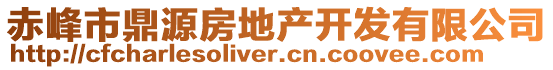 赤峰市鼎源房地產(chǎn)開發(fā)有限公司