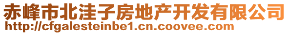 赤峰市北洼子房地產(chǎn)開發(fā)有限公司