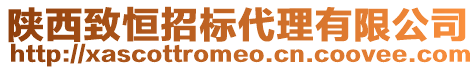 陜西致恒招標(biāo)代理有限公司