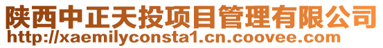 陜西中正天投項(xiàng)目管理有限公司