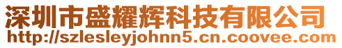 深圳市盛耀輝科技有限公司