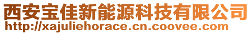 西安寶佳新能源科技有限公司