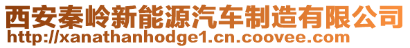 西安秦嶺新能源汽車制造有限公司