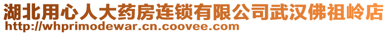 湖北用心人大藥房連鎖有限公司武漢佛祖嶺店