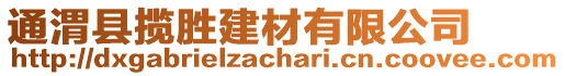 通渭縣攬勝建材有限公司